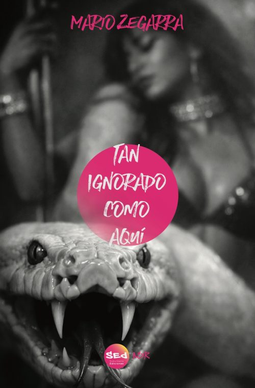 Portada de Tan ignorado como aquí, de Mario Zegarra